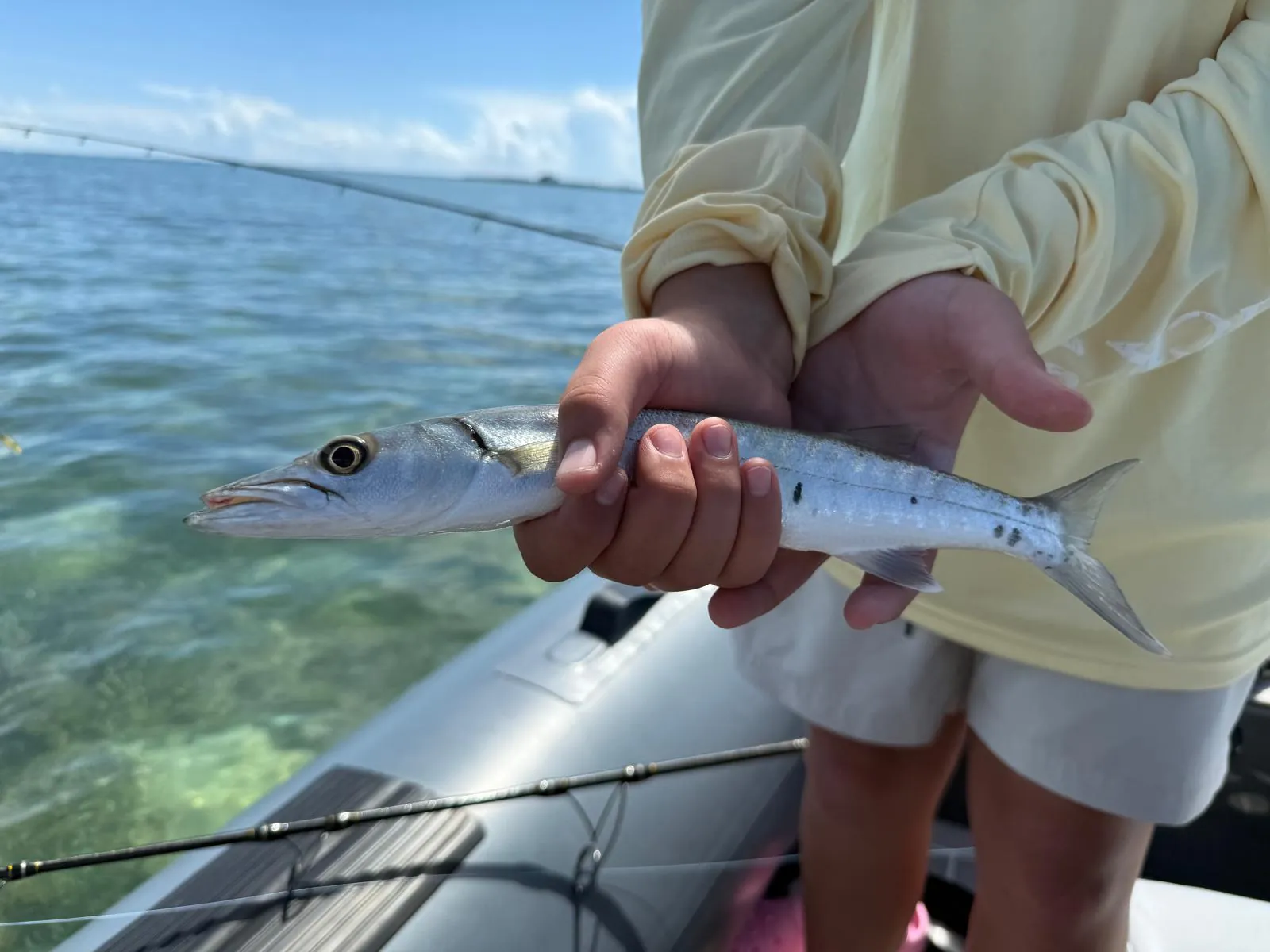 Small barracuda caught reef fishing over clear shallow water