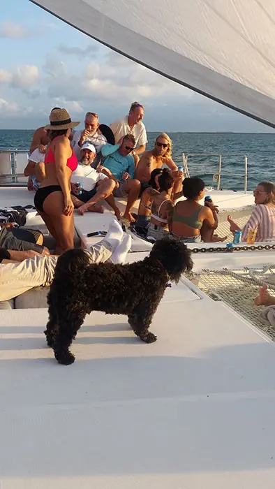 Guests on deck while Bamboozled sails